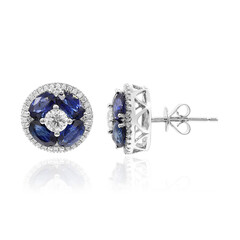 14K Ceylon Blue Sapphire Gold Earrings (CIRARI)