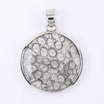 Petrified Coral Silver Pendant
