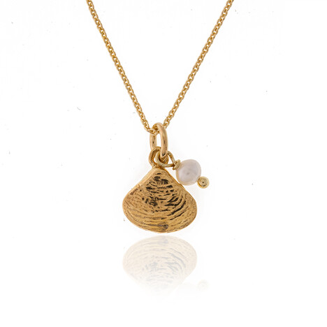 Zilveren halsketting met een zoetwater kweekparel (Joias do Paraíso)