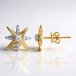 Orecchini in oro con Diamante IF (D) (Annette)