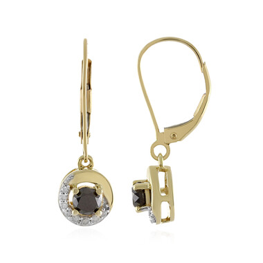Schwarzer Diamant-Goldohrringe