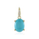 Gouden hanger met een Sleeping Beauty Turkoois