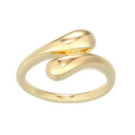 Silberring