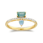 Edelstein-Goldring (CIRARI)