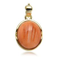 Pendentif en argent et Spondylus