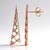Orecchini in argento con Zircone (SAELOCANA)