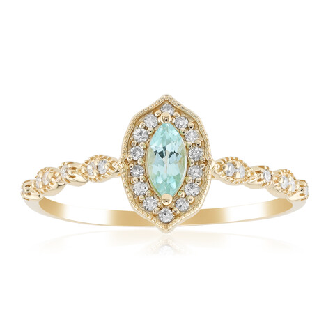 Gouden ring met een Braziliaanse Paraiba toermalijn (AMAYANI)