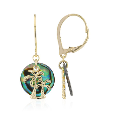 Abalone Shell Silver Earrings