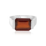 Anillo en plata con Granate Hesonita (de Melo Essence)