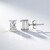Orecchini in argento con Zircone