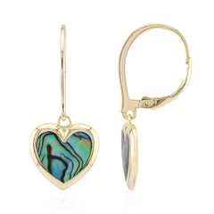 Pendientes en plata con Concha de Abalone