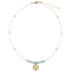 Collar en plata con Aguamarina