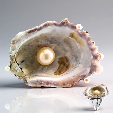 Anello in argento con Conchiglia (TPC)