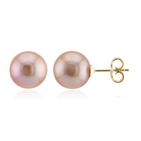 Orecchini in argento con Perla Ming Porpora (TPC)