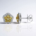 Orecchini in oro con Diamante Giallo SI2 (CIRARI)