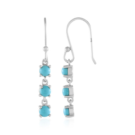 Sleeping Beauty Turquoise Silver Earrings