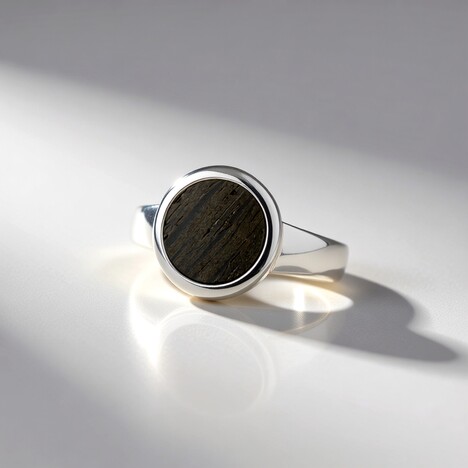 Bague en argent et Chêne des marais (dagen)