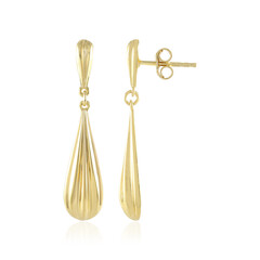 Orecchini in argento