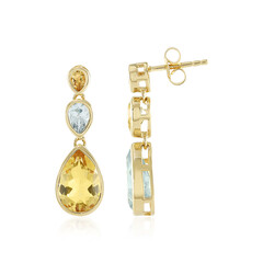 Edelstein-Silberohrringe