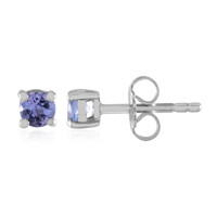 Tanzanite Silver Earrings