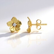 Orecchini in argento con Diamante Cioccolato I2