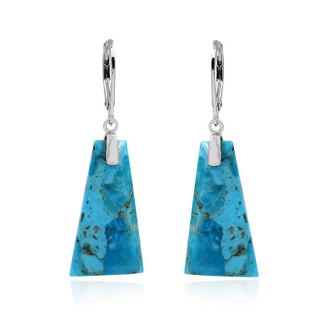 Boucles d'oreilles en argent et Turquoise bleue de Mohavie (Faszination Türkis)