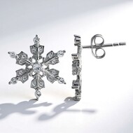 Pendientes en plata con Zircón