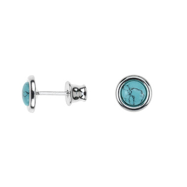 Turquoise Silver Earrings (dagen)