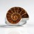 Anello in argento con Ammonite (Bali Barong)