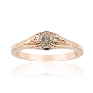 VS1 Argyle-Rose de France-Brillant-Goldring (Annette)
