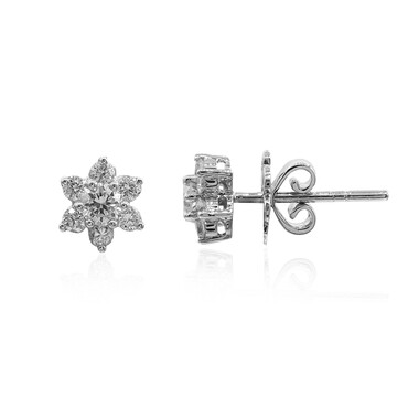 SI3 (H) Brillant-Goldohrringe (Estée Collection)