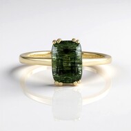 Anello in oro con Peridoto con Ludwigite (de Melo)