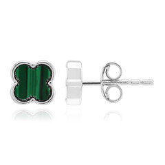 Orecchini in argento con Malachite