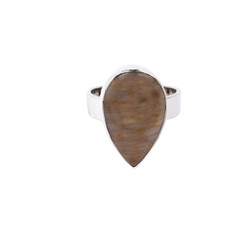 Anello in argento con Legno Fossile