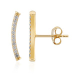 Orecchini in argento con Zircone