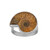 Ammonite Silver Ring