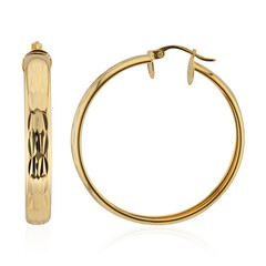 Orecchini in argento