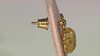 Pendientes en plata con Ámbar báltico limón (dagen)