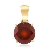 Gouden hanger met een Ceylon hessoniet
