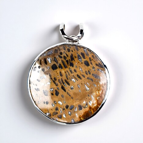 Ciondolo in argento con Legno Fossile