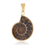 Ammonite Silver Pendant (Bali Barong)