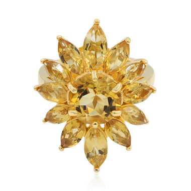 Bague en argent et Citrine