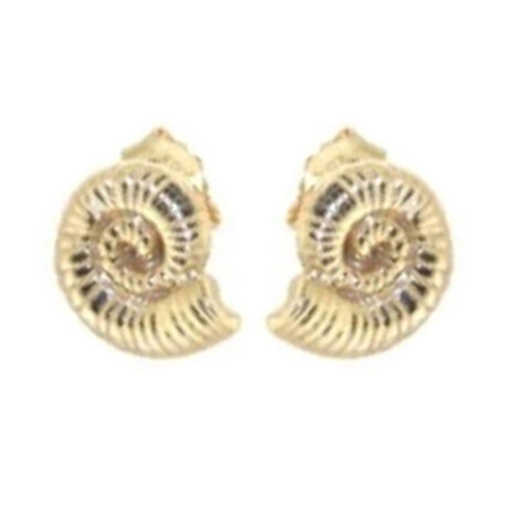 Boucles d'oreilles en argent