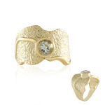 Anello in argento con Ametista Verde (MONOSONO COLLECTION)