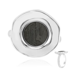 Anello in argento con Meteoriti di Aletai