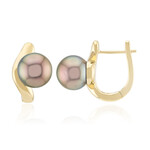 Tahitiperlen-Goldohrringe (Michelle Albala)