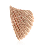 Ciondolo in argento (MONOSONO COLLECTION)