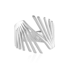 Zilveren ring (de Melo)