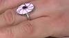Zilveren ring met een rhodliet (MONOSONO COLLECTION)
