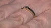 Zilveren ring met een I2 Blauwe Diamant